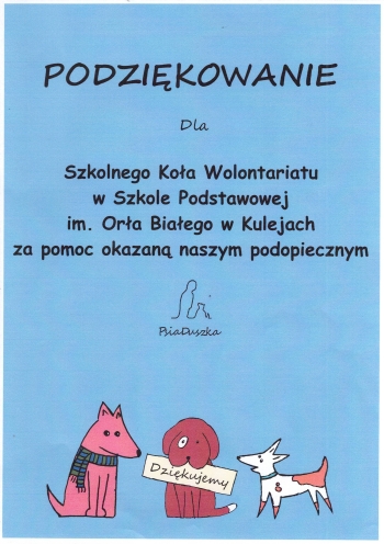 Scan 2