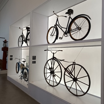 IMG-20251106-WA0010(1)