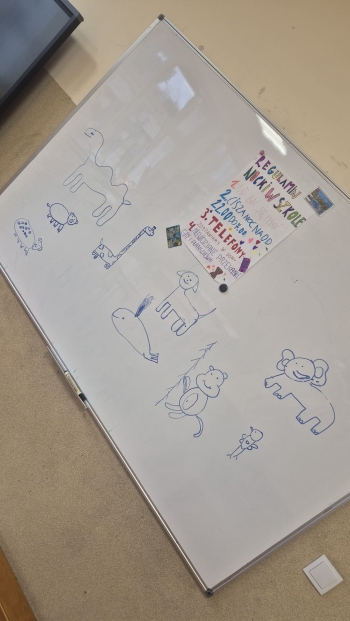 WhatsApp Image 2026-02-15 at 13.20.09.jpeg