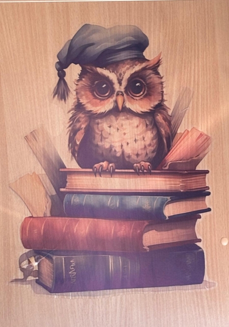 Spotkanie w bibliotece